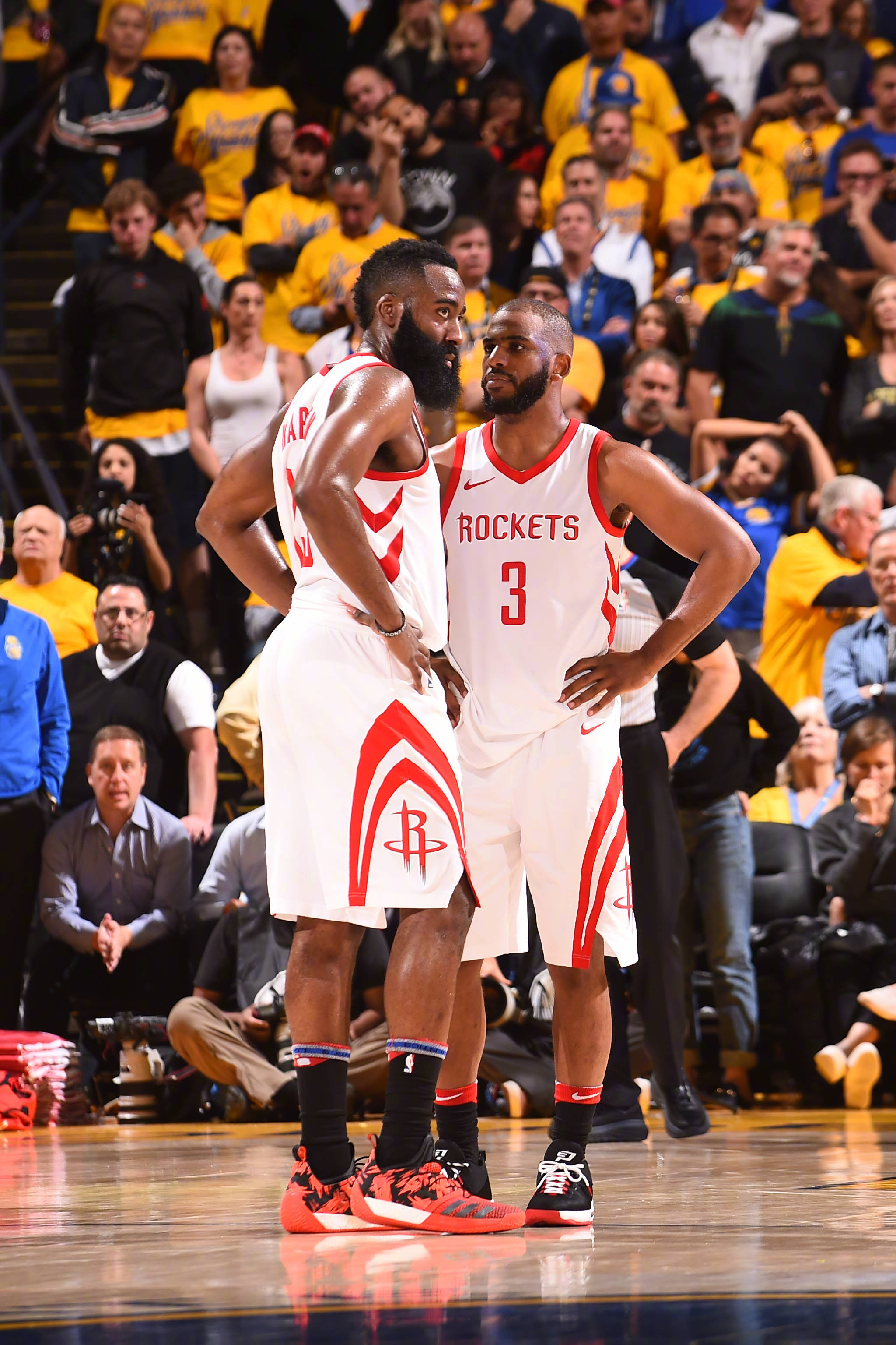 利移植到马 利移植到马